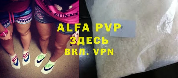 хмурый Аркадак