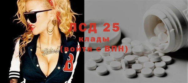 хмурый Аркадак