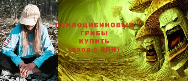 хмурый Аркадак