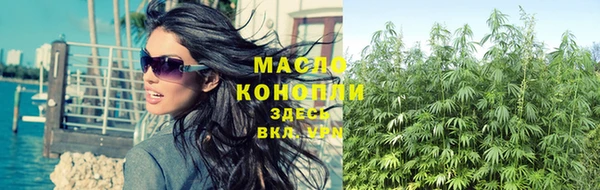 сатива Армянск