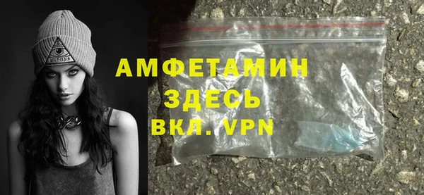 хмурый Аркадак