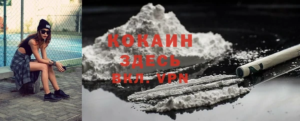 хмурый Аркадак
