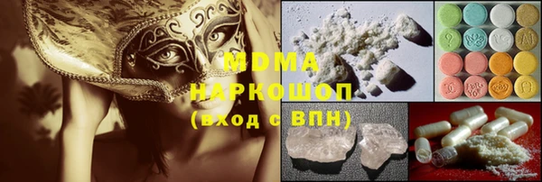 хмурый Аркадак