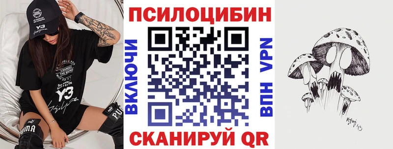 сколько стоит  Зима  Галлюциногенные грибы Psilocybe 