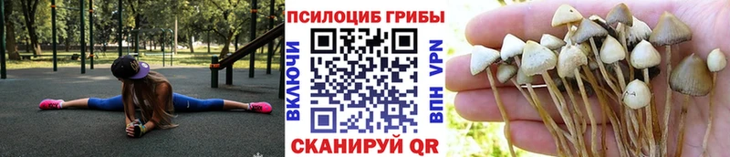 Псилоцибиновые грибы мухоморы Зима